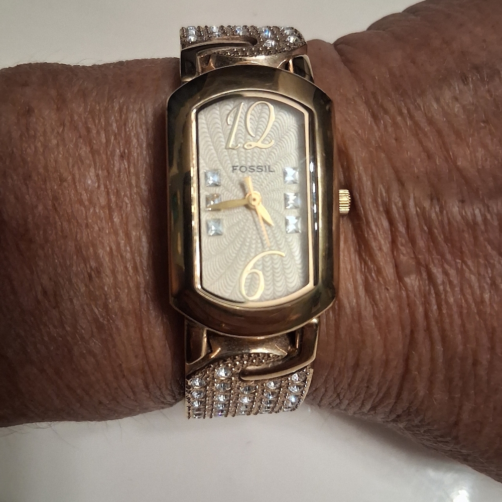 Beautiful Fossil Luxury Watch
